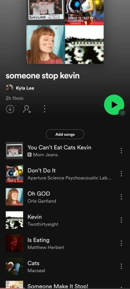 weird spotify playlists|weirdspotifyplaylists .